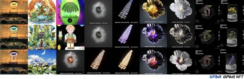 업비트, 시드볼트 NFT 통해 자연환경 보전...박람회 부지에 멸종위기식... - 뉴스 썸네일 이미지