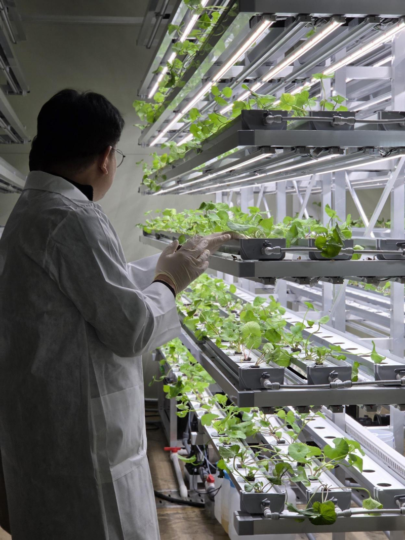 에이바이오머티리얼즈, '336종 스킨부스터 제형 매트릭스' 구축... "... - 뉴스 썸네일 이미지