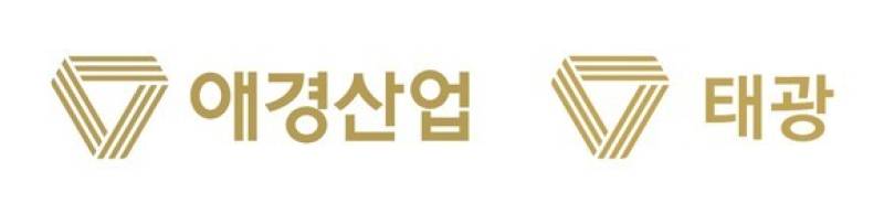 LG생건·애경의 '패자부활전'.. '차포 떼고 오직 화장품' - 뉴스 썸네일 이미지